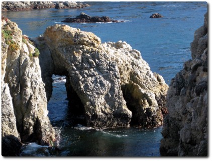 Point Lobos - Pelican Point