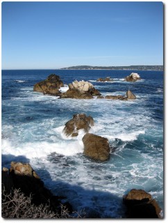 Point Lobos - Cannery Point