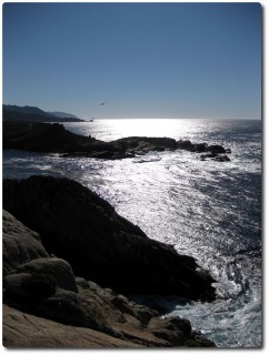 Point Lobos - South Point