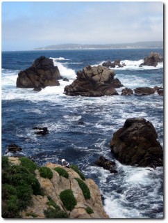 Point Lobos - rauhe See