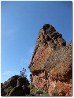 Pinnacles National Monument - Felsen und Wanderweg