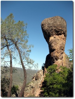 Pinnacles National Monument - Felszacken 02