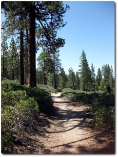 Powerline Trail