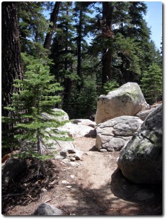 Armstrong Trail - kleiner Rockgarden