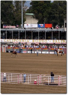 Salinas Rodeo - Horse Riding