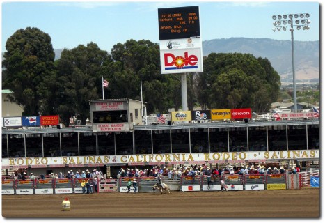 Salinas Rodeo - Bull Riding