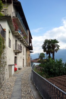 Ronco sopra Ascona - am Hang