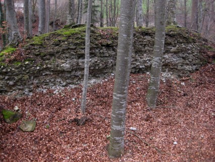 Ruine Rohrberg