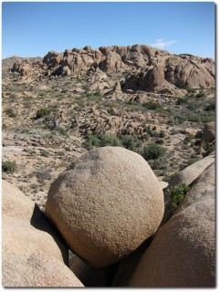 Joshua Tree NP - runder Fels