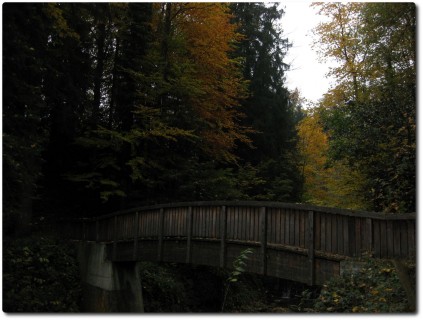 Steinibachtrail und Brücke in Hergiswil