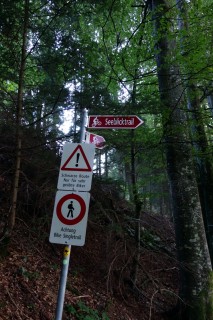 Seeblicktrail - Mountainbikes only