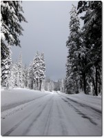 Schneebedeckte Strasse in Oregon