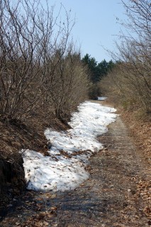 Aufstieg zum Settepani - zu viel Schnee