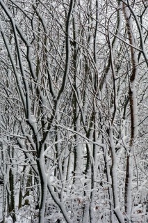 Schneeimpressionen