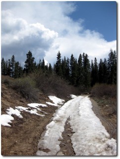 Letzter Schnee runter zum Marlette Lake