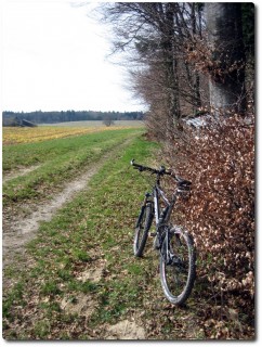 Frühlingsstimmung in Richtung Ersigen