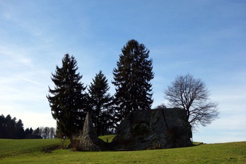 Findling Steinhof