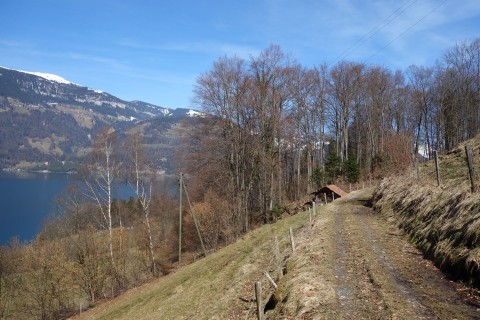 Trails runter nach Interlaken