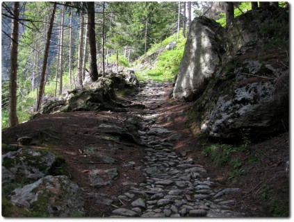 ...und harter Karrweg auf der alten Strasse runter nach Poschiavo