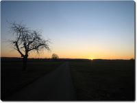 Sonnenuntergang im Januar - Mittelland