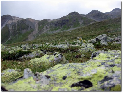 Alpines Gelände entlang der Wege