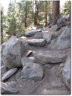 Tahoe Rim Trail - Felsstufen für die Fahrtechnik