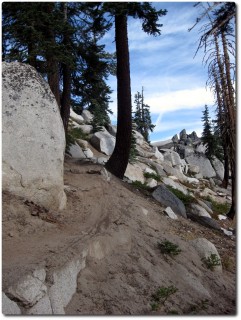 Tahoe Rim Trail - Schöner Weg und viel Fahrspass