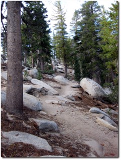 Tahoe Rim Trail - Achtung Felsen