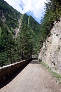 Historische Strasse durch die Twingischlucht