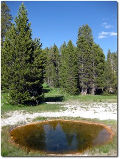 Upper Geysr Basin - Another Pool