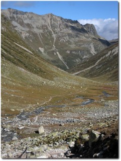 Ab dem Pass geht es nur noch runter auf einem tollen Trail