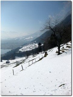 Blick in Richtung Alpnach und möglichem Höhenweg