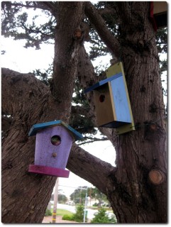 Geocache getarnt als Vogelhaus