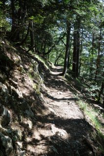 Trail durch den Wagnerbann