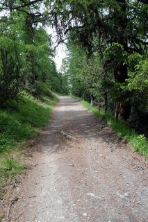 Schotterwege zur Ochsenalp