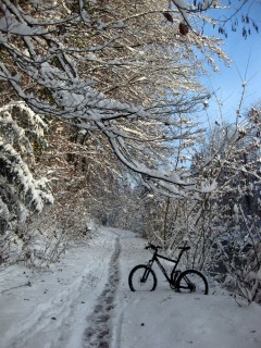 Winterstimmung entlang der Emme