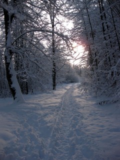 Winterstimmung am Sonntagmorgen