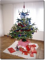 Weihnachtsbaum 2007
