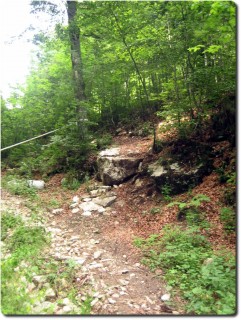 Downhill vom Weissenstein - Drop