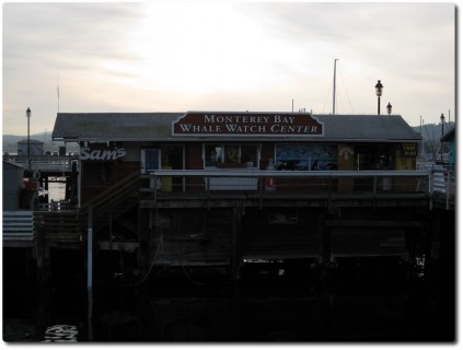 Monterey Bay Whale Watch