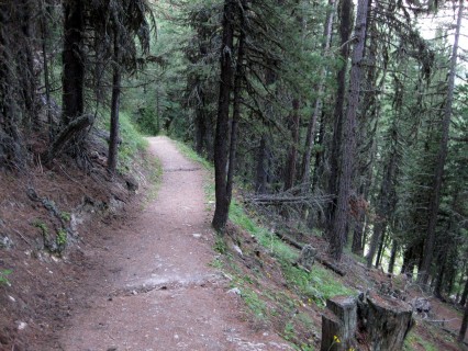 Superttrail runter vom Weisshorn