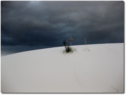 White Sands National Monument - Impressionen