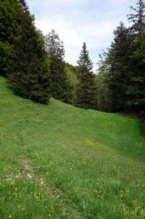 Wiesentrail beim Chellenchöpfli