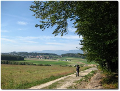 Über Feld und Wiesen