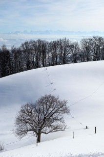 Winterblick und Alpen