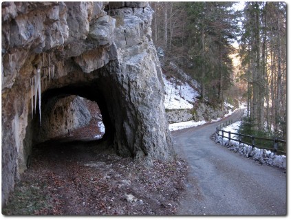 Tunnel in der Schlucht des Wolfsbachs