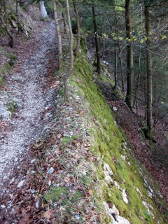 Zugang zum Stigelos vom Nesselboden - Stützmauer