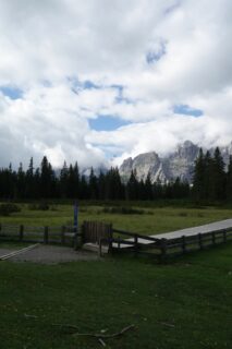 Hochmoor bei der Alpe Nemes