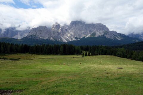 Bick von der Alpe Nemes
